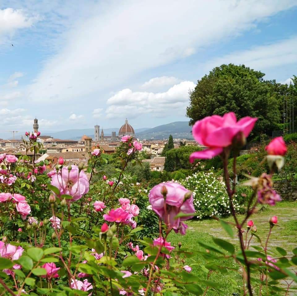 Giardino delle rose