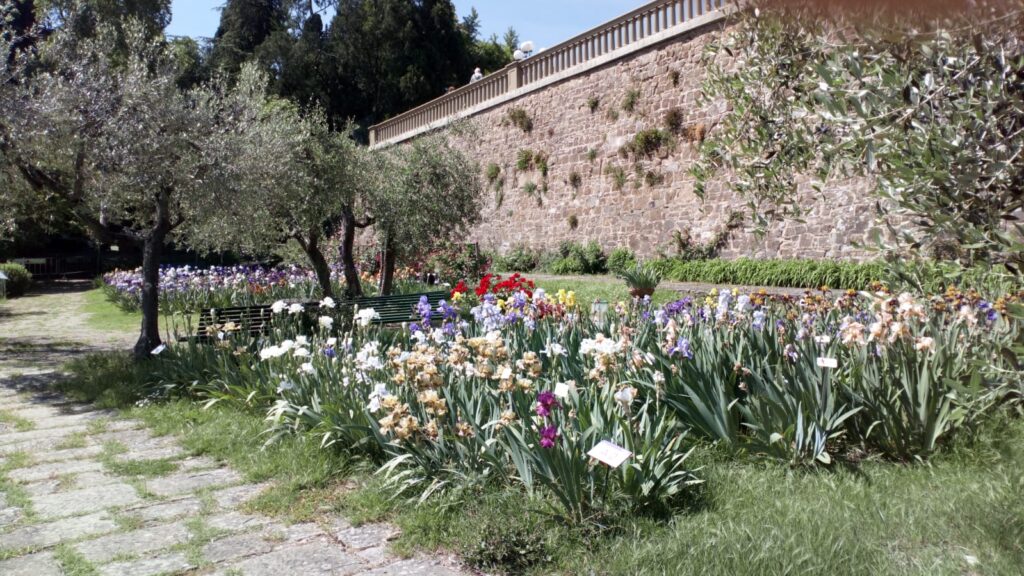 giardino dell'iris