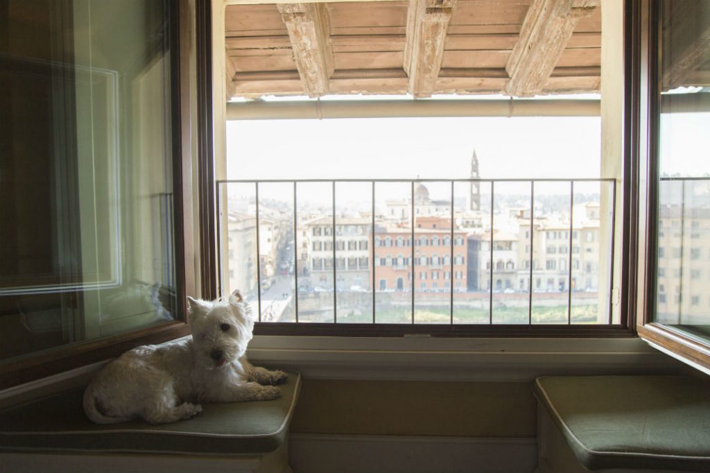 Your pet is welcome at Antica Torre Tornabuoni